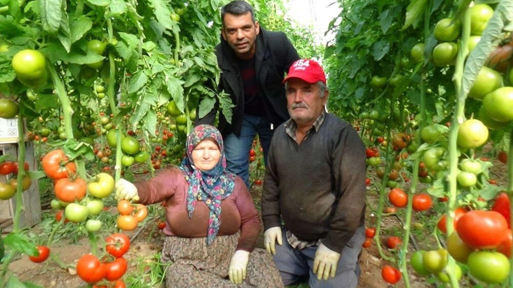 Tarla ile market arasında büyük fark! Üretici çileden çıktı