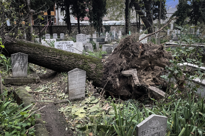 Bursa'da devrilen ağaçlar mezarların üzerine düştü