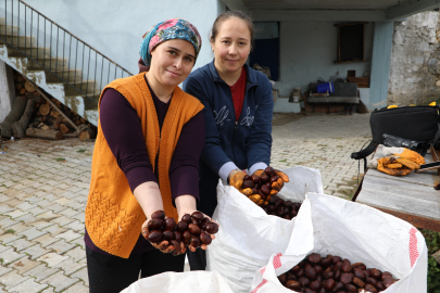 Kestaneler alıcılarını bekliyor