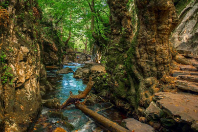 Oksijen kaynağı: Kaz Dağları