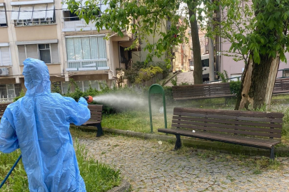 Osmangazi Belediyesi ilçe genelinde ilaçlama yaptı