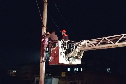 İntihar etmek için aydınlatma direğine çıktı