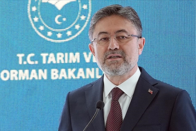 Sokak hayvanlarıyla ilgili düzenleme: Bakan Yumaklı'dan açıklama!