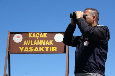 İnci kefali yoğun denetim altında