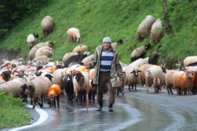 4 gün sürecek yolculuk başladı! 6 ay bölgede kalacaklar