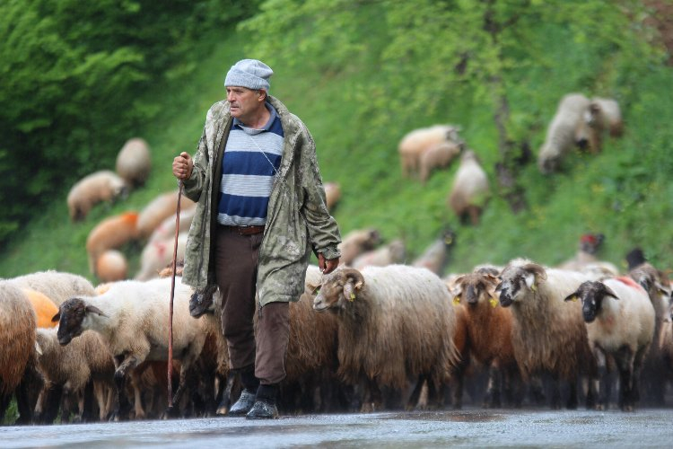 4 gün sürecek yolculuk başladı! 6 ay bölgede kalacaklar - Bursa Hayat Gazetesi-3