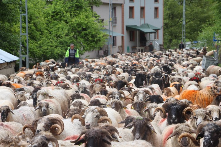 4 gün sürecek yolculuk başladı! 6 ay bölgede kalacaklar - Bursa Hayat Gazetesi-2