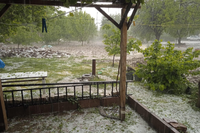 Malatya'da kayısı bahçelerini dolu vurdu