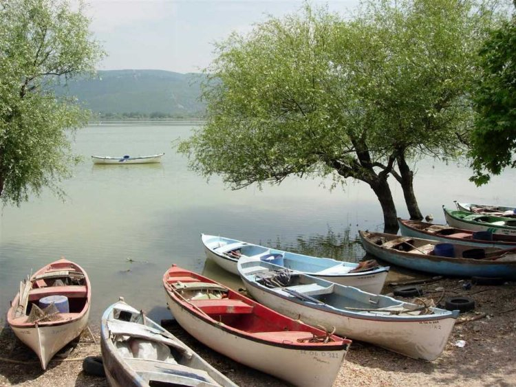 Türkiye'nin en önemli sulak alanlarından biri: Uluabat Gölü -Bursa Hayat Gazetesi-2