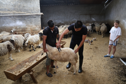 Stokçuluk mu yapılıyor? Kurban fiyatları arttı iddiası