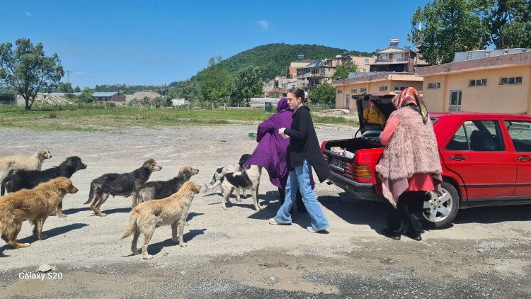 400 nüfuslu köyü uyuz korkusu sardı - Bursa Hayat Gazetesi-3