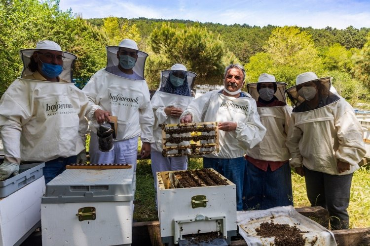 Arı ve arı ürünlerine karşı kontrolsüz ilaçlamaya dikkat! - Bursa Hayat Gazetesi-3