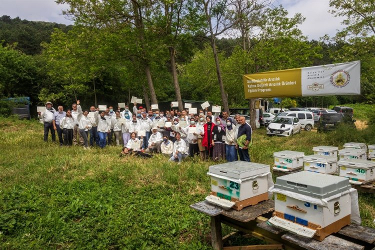 Arı ve arı ürünlerine karşı kontrolsüz ilaçlamaya dikkat! - Bursa Hayat Gazetesi-4