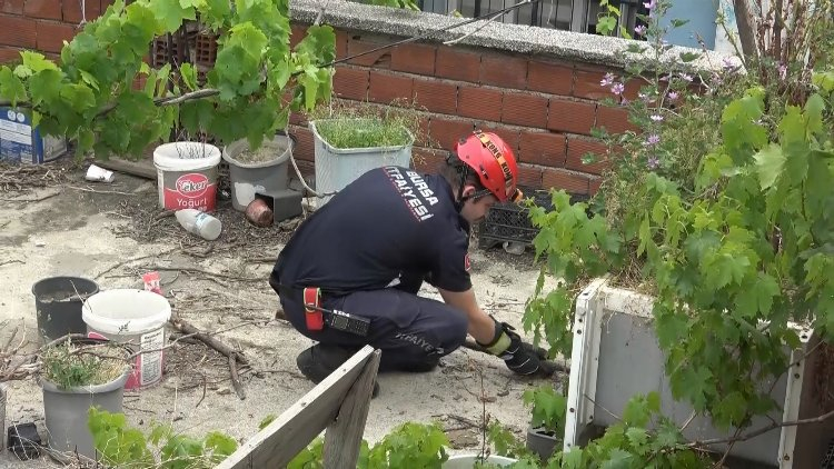 Bursa'da mahalleli yardım istedi, ekipler seferber oldu - Bursa Hayat Gazetesi-3