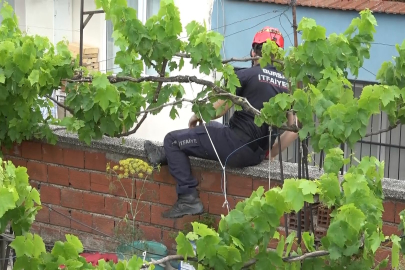 Bursa'da mahalleli yardım istedi, ekipler seferber oldu