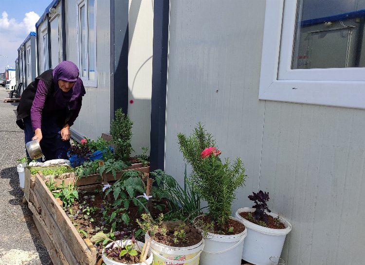 Depremzede kadın kaldığı konteynerin önüne bahçe yaptı - Bursa Hayat Gazetesi-2