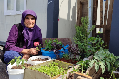 Depremzede kadın kaldığı konteynerin önüne bahçe yaptı