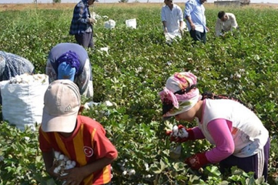 Mevsimlik tarım işçisi çocukların sorunları ve çözüm önerileri