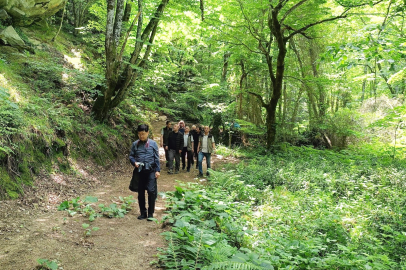 Bursa'da 'Terapi Ormanı' oluşturulması için harekete geçildi