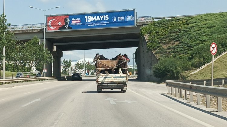 Bursa'da kamyonet kasasında 5 atla trafiğe çıktı - Bursa Hayat Gazetesi-3