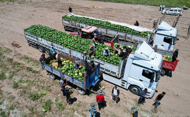 Coğrafi işaret tescilli Adana karpuzunda fiyatlar düştü - Bursa Hayat Gazetesi-3