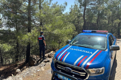 Aydın'da orman yangınlarına karşı jandarmadan sıkı kontrol