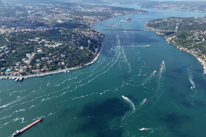 Marmara'da müsilaj tehdidi! Uykusundan uyandı