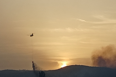 Arazi yangını ormana sıçradı