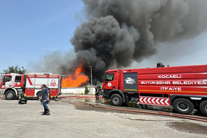 Kocaeli'de palet fabrikasında korkutan yangın