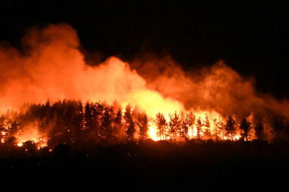 Tarım Bakanı Yumaklı, Çanakkale'deki yangını takip etti