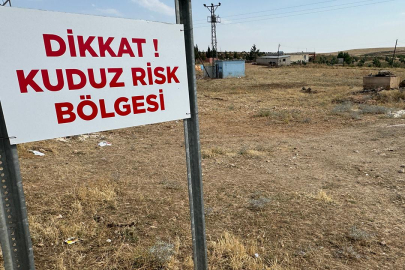 Şanlıurfa'da bir mahallede kuduz karantinası!