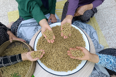 Coğrafi işaretli Ulukale dutu dünyaya ihraç ediliyor