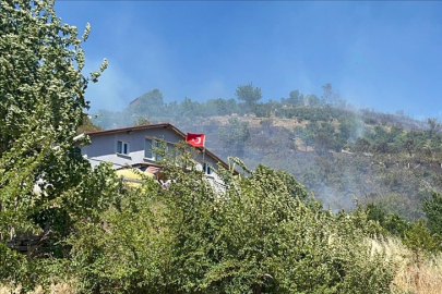 Kastamonu'da orman yangını! Alevlere müdahale ediliyor