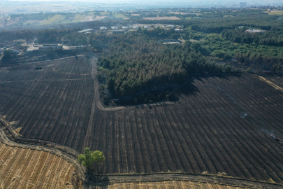 Bursa'da kampüsteki orman yangının hasarı havadan görüntülendi