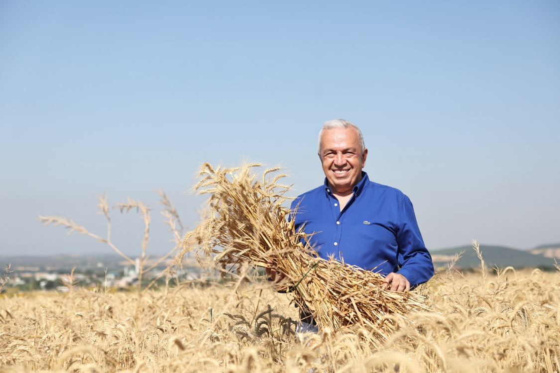 Bursa'da 71 dönümde buğday hasadı başladı - Bursa Hayat Gazetesi-2