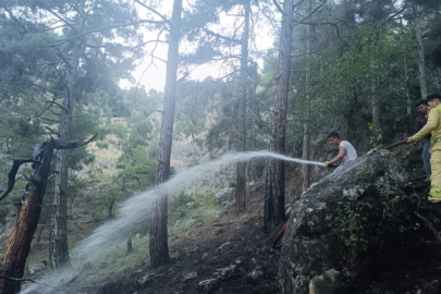 Mersin Tarsus'taki orman yangını kontrol altında