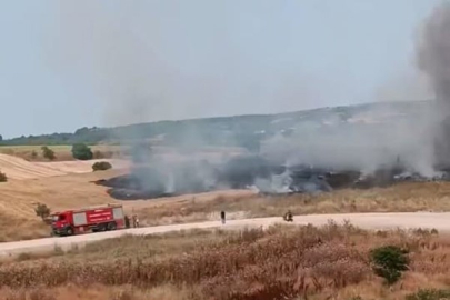 Bursa'da buğday ekili 20 dönümlük tarla yandı