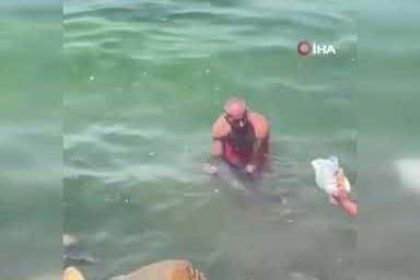 Bursa'da yunus balığı balıkçıların ağına takıldı