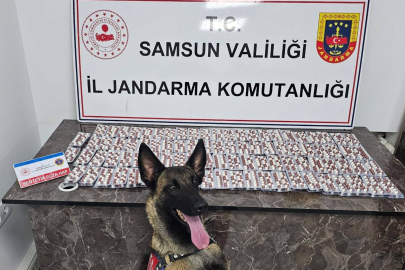 Jandarmadan uyuşturucu satıcılarına darbe: 2 gözaltı!