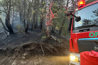 Kastamonu'da düşen yıldırım ormanda yangın çıkardı