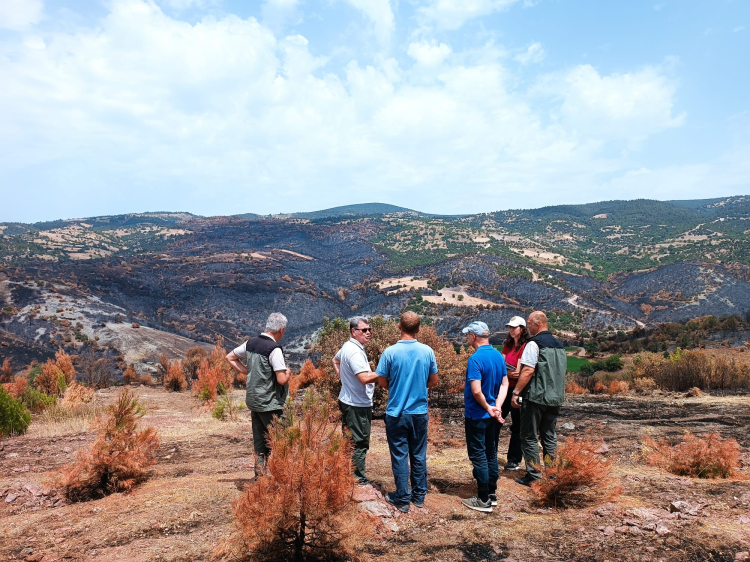 Bursa'da yangında zarar gören alanlar yeniden ormanlaştırılıyor - Bursa Hayat Gazetesi-2