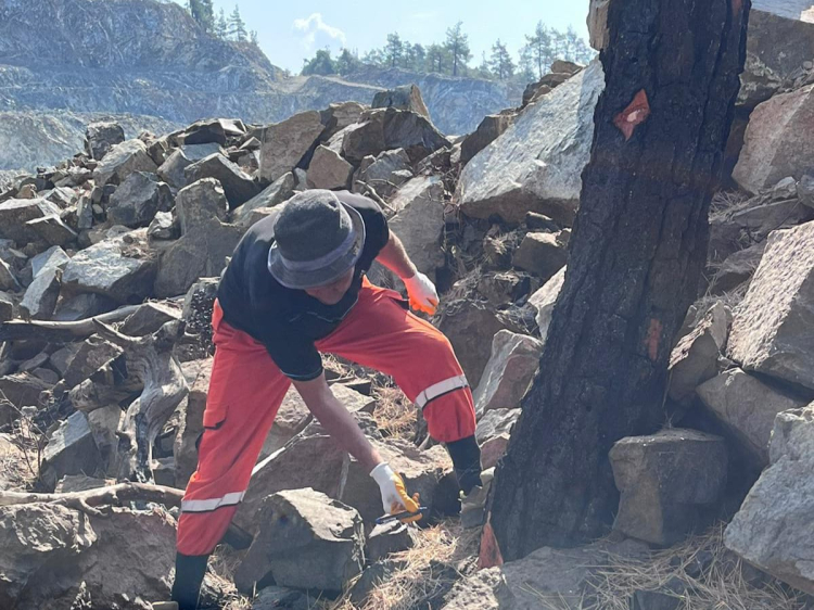 Bursa'da yangında zarar gören alanlar yeniden ormanlaştırılıyor - Bursa Hayat Gazetesi-6