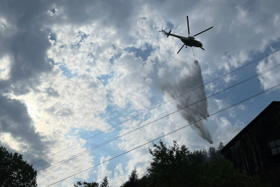 Kastamonu'da bir orman yangını daha çıktı