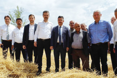 Bursa'da 6 çeşit buğdayın hasadı yapıldı