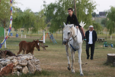 Bursa'da kısır sanılan atın doğum yapması şaşkınlık yarattı