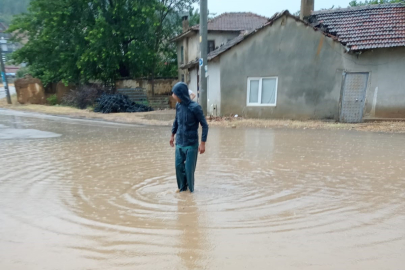 Bursa Yenişehir'de tarım alanları ve evler sular altında kaldı