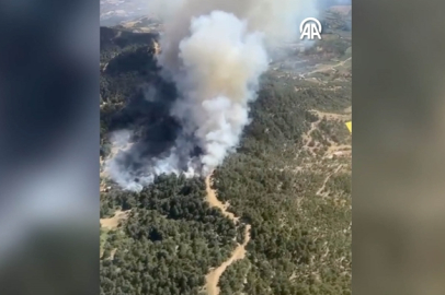 İzmir'de orman yangını: Havadan ve karadan müdahale!