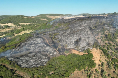 Manisa Kula'daki orman yangını söndürüldü