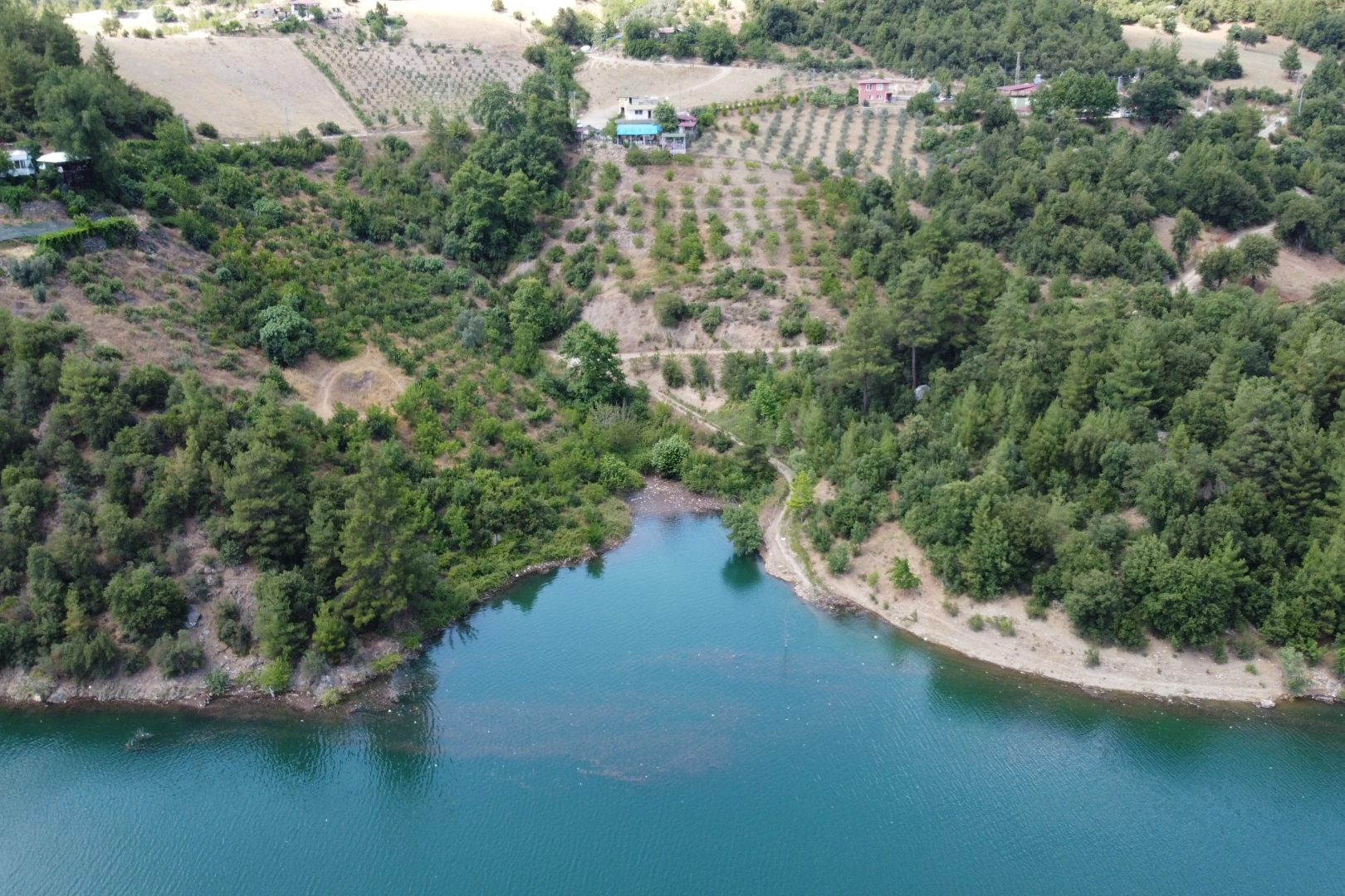 Burası Karadeniz değil Adana