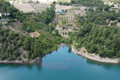 Burası Karadeniz değil Adana: Hayran kalacaksınız!